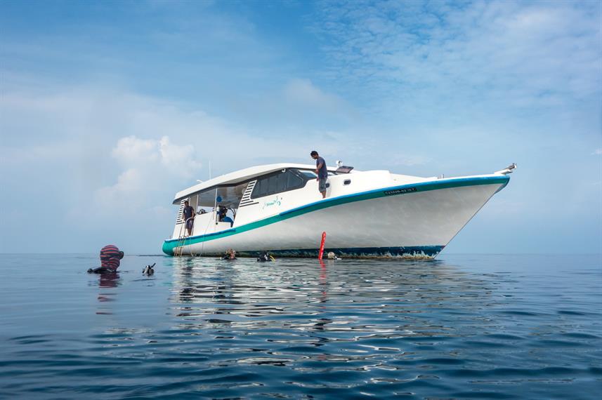 Emperor Leo Liveaboard photo 4