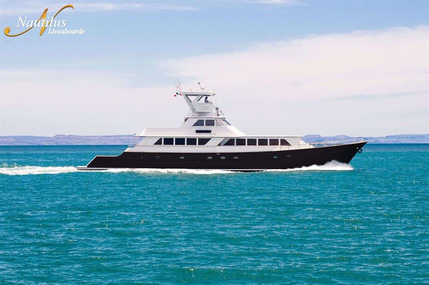 Nautilus Gallant Lady Liveaboard  photo 2