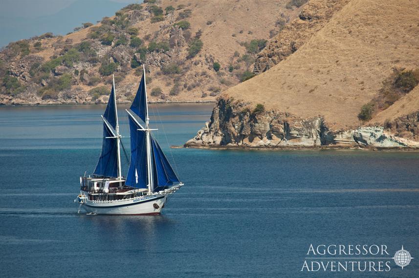 Indo Aggressor Liveaboard
