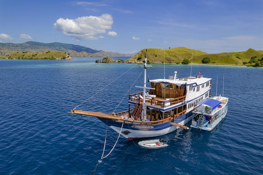 Komodo Sea Dragon photo 4