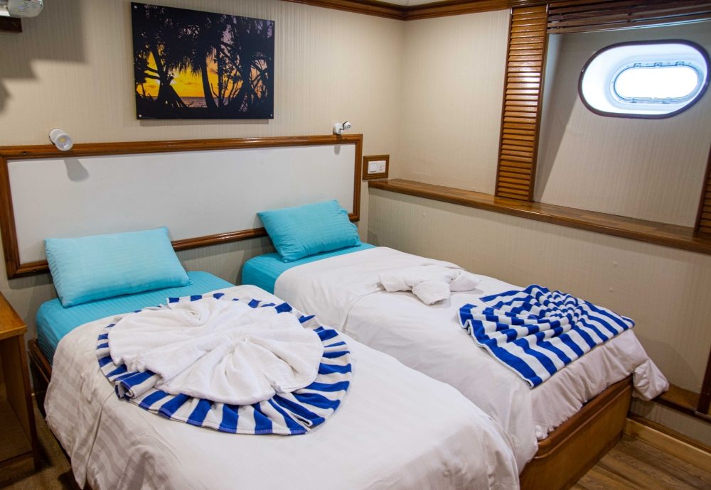 Lower Deck Twin