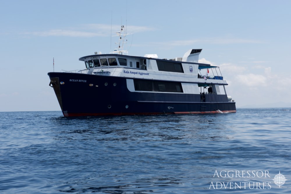 Raja Ampat Aggressor Liveaboard photo 2