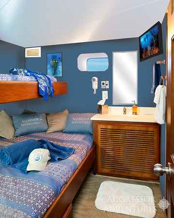 Twin Bunk-Style Staterooms
