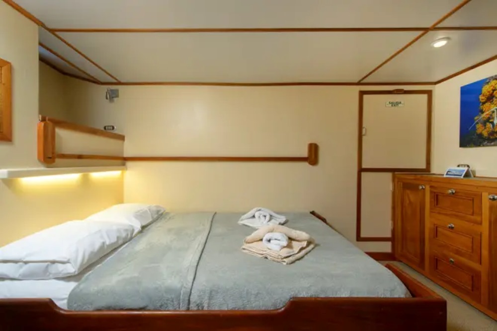 Lower Deck Double Style