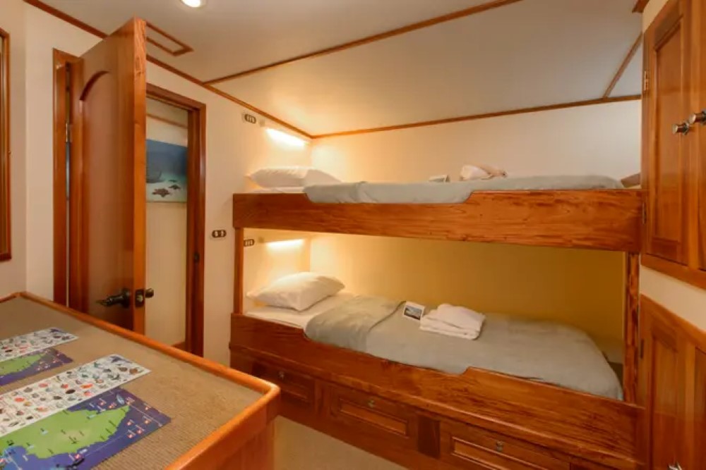Lower Deck Twin Bunk Style