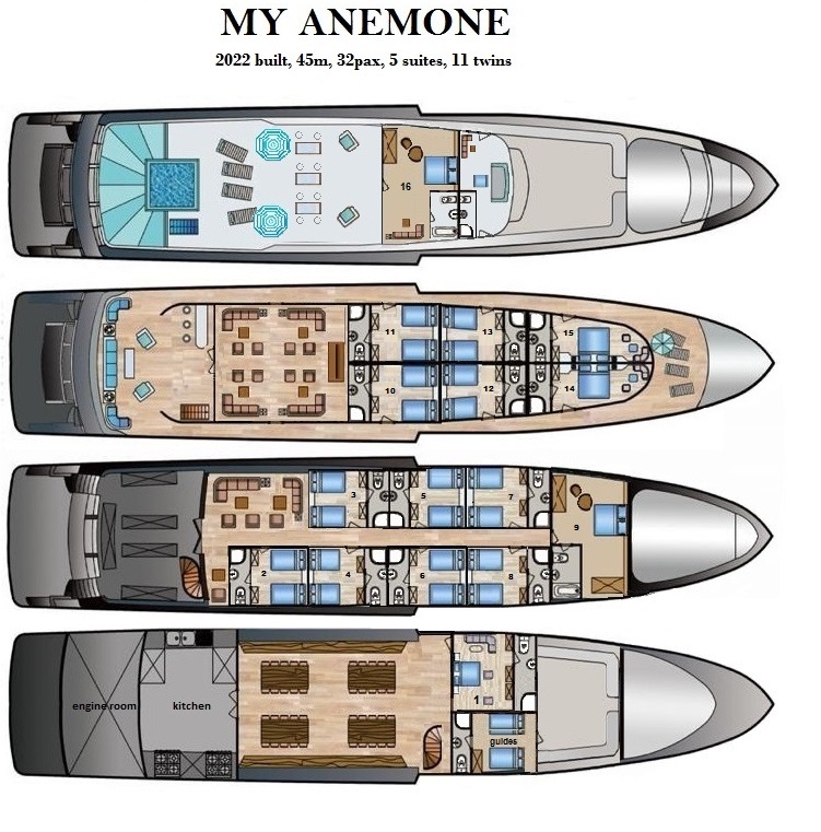 MY Anemone Liveaboard deck layout