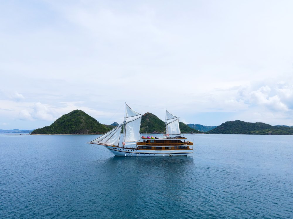 Lamain Voyage I photo 3