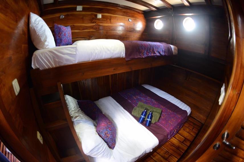 Standard Cabins