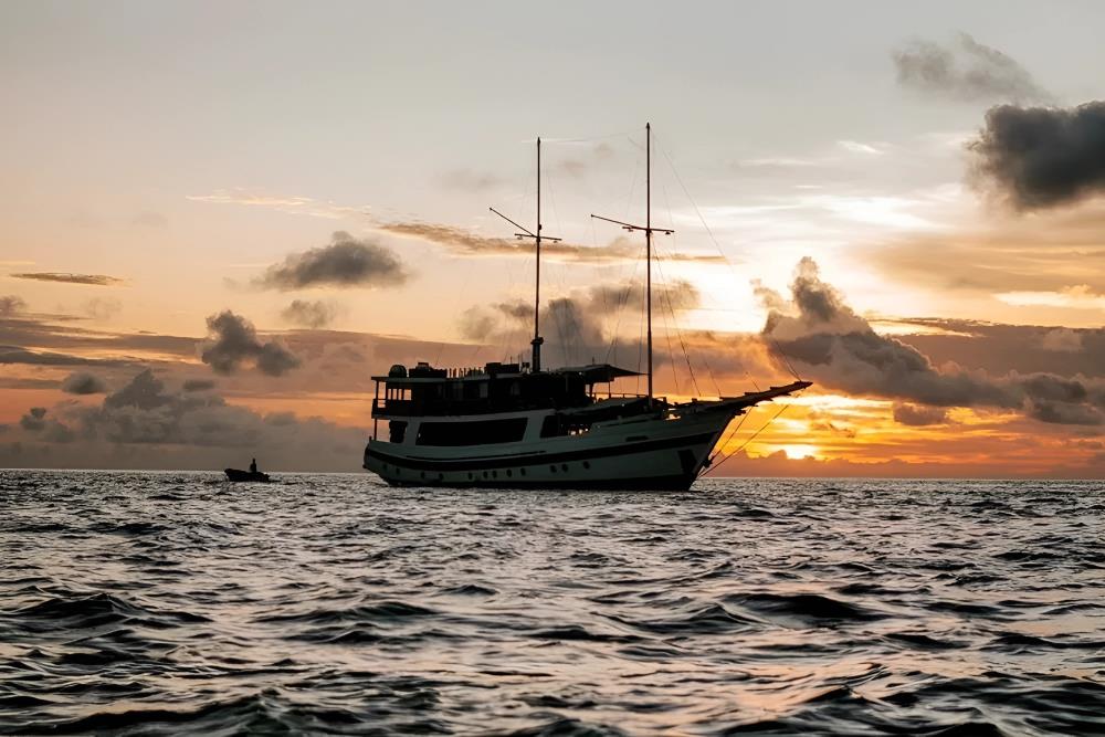 Indo Master Liveaboard photo 2