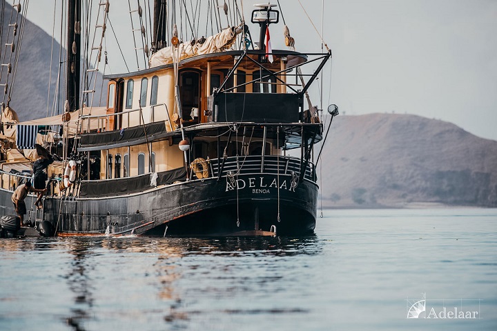 Adelaar Liveaboard photo 2
