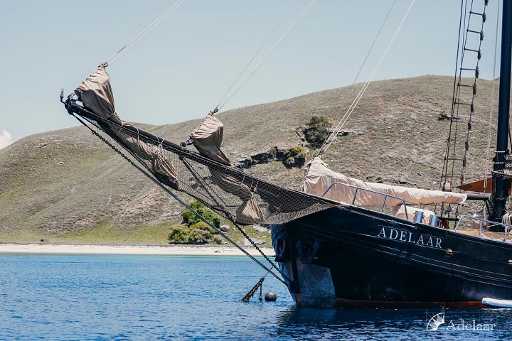 Adelaar Liveaboard photo 3