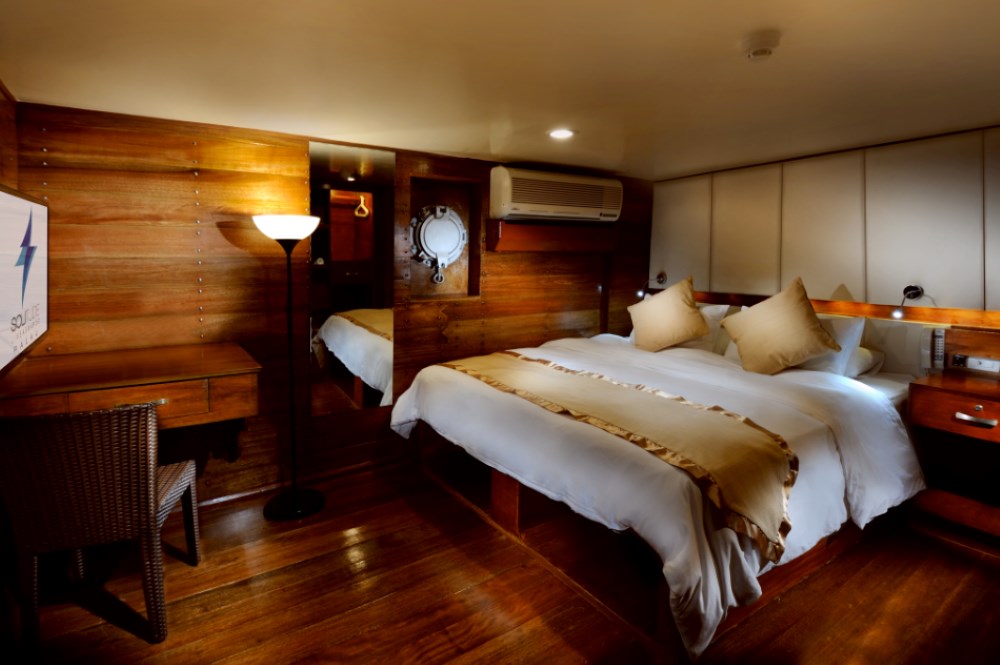 Stateroom Lower Deck