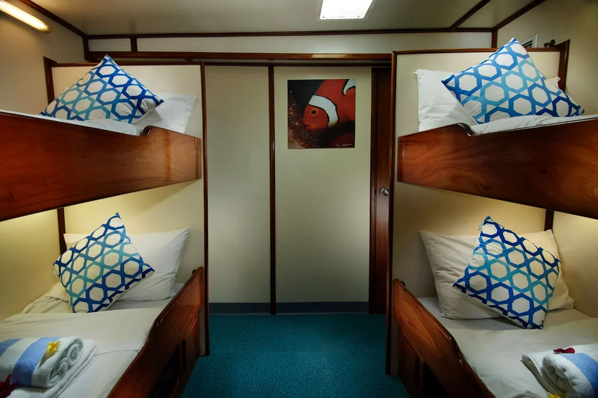 Standard Single Cabin
