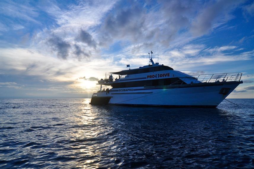 Pro Dive Cairns Liveaboard