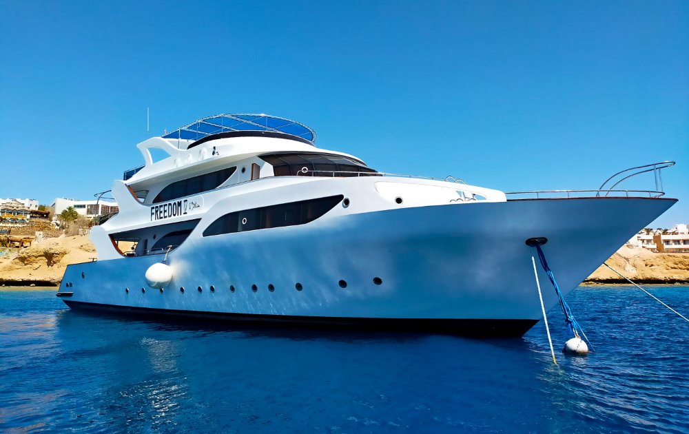Freedom IV Liveaboard
