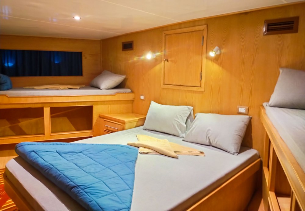 Master Cabin (1 King + 2 Single)