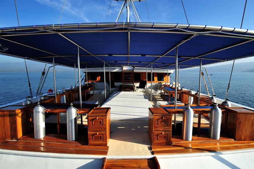 Philippine Siren Liveaboard photo 3