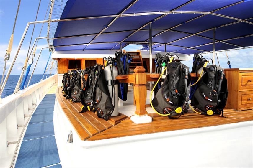 Palau Siren Liveaboard photo 4