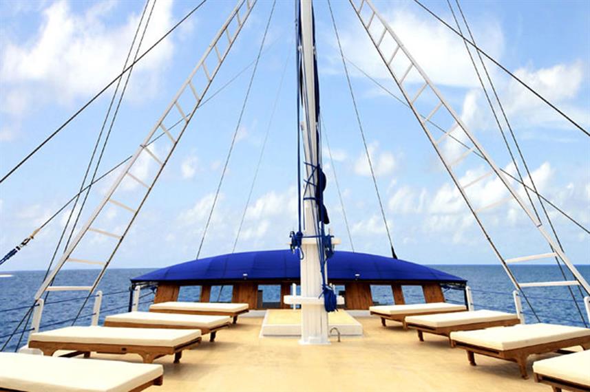 Palau Siren Liveaboard photo 3