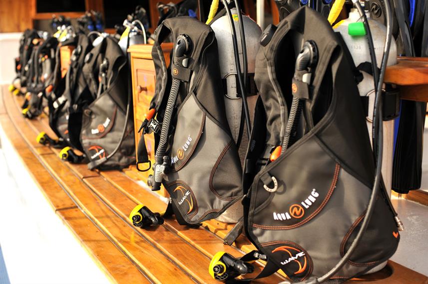 Palau Siren Liveaboard photo 5