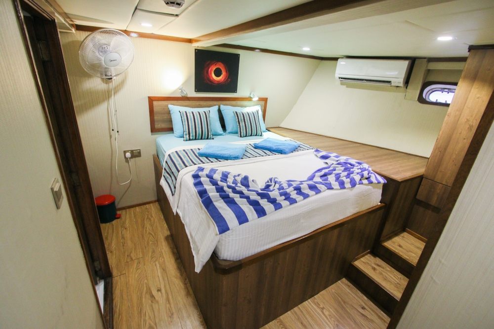 Lower Deck Double