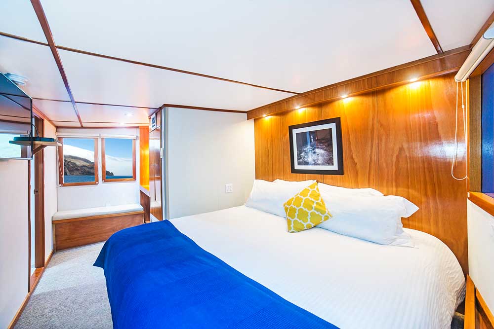 Premium Suite