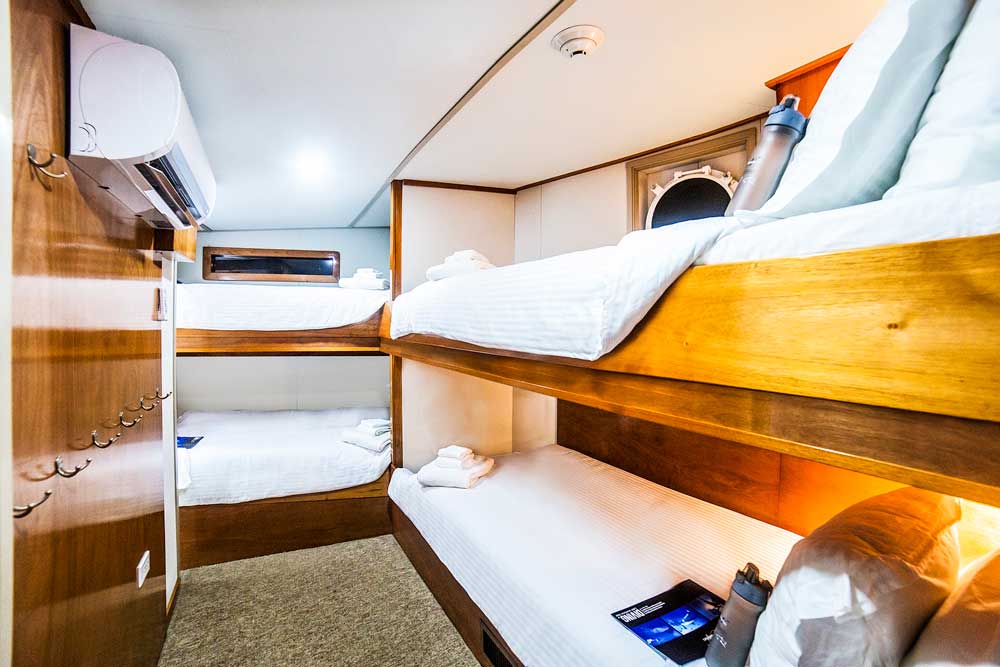 Triple Stateroom