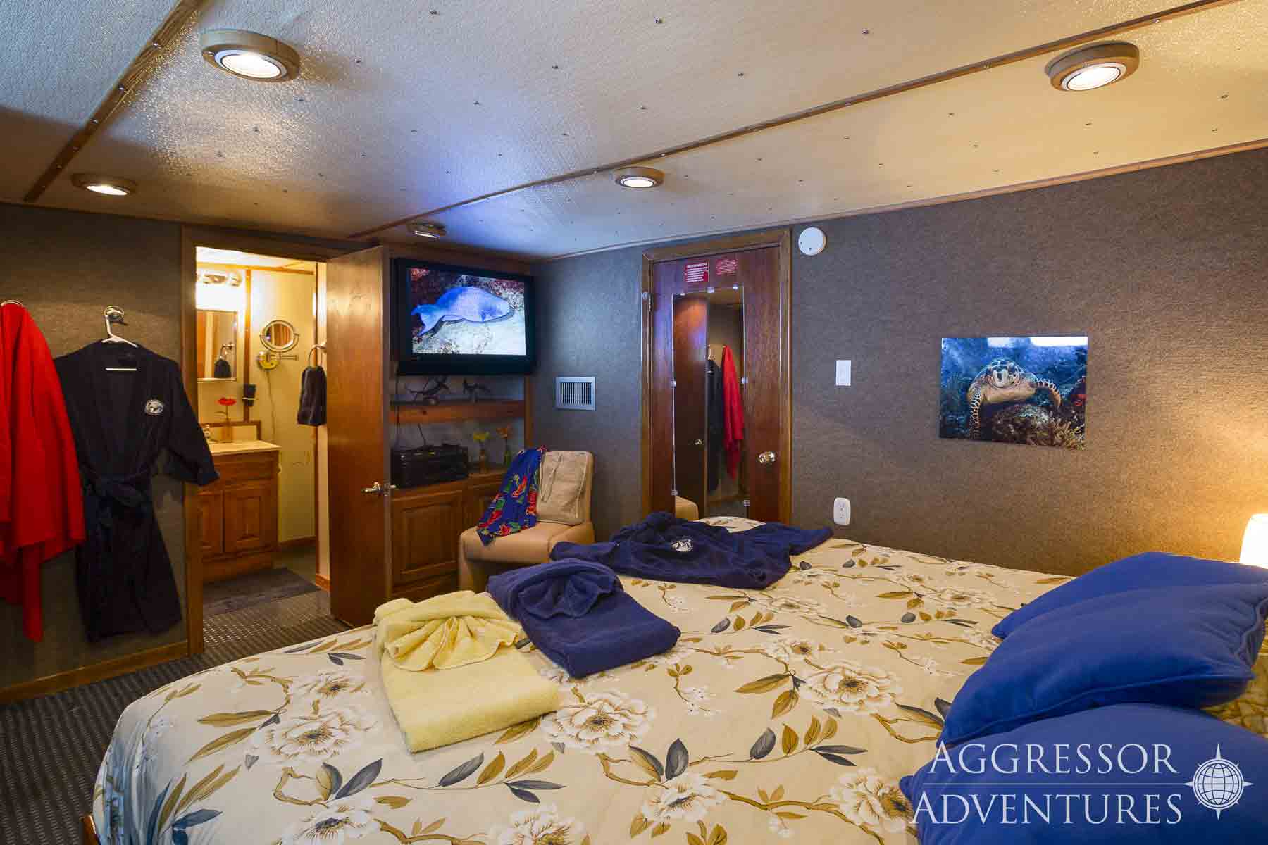Deluxe Staterooms Lower Deck