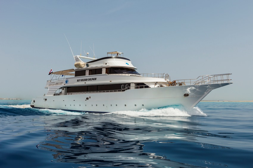 Golden Dolphin I Liveaboard photo 2