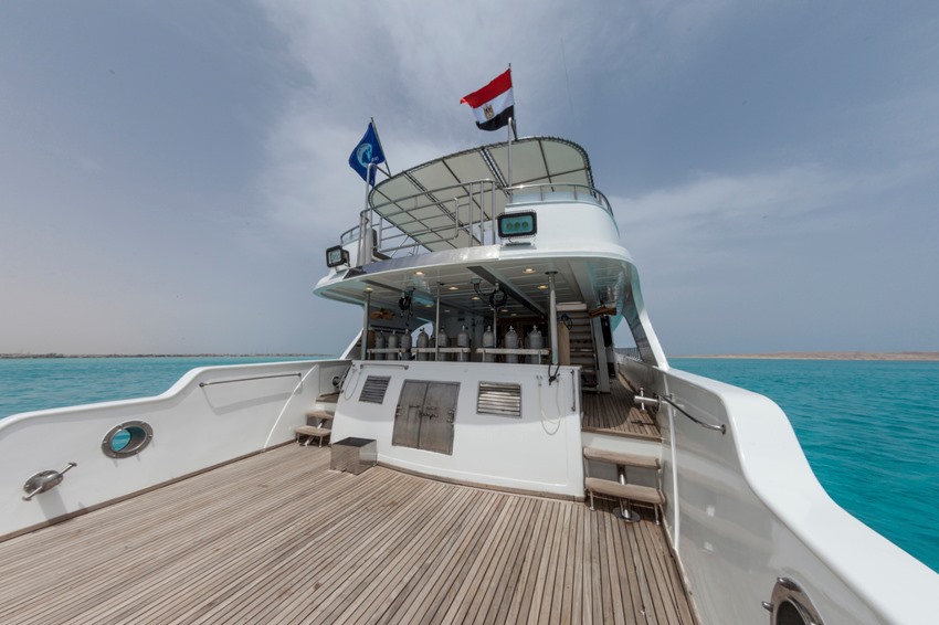 Golden Dolphin I Liveaboard photo 4