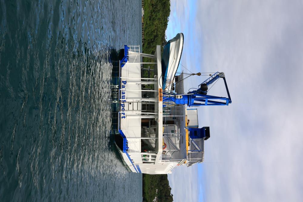 MY Palau Sport Liveaboard photo 5