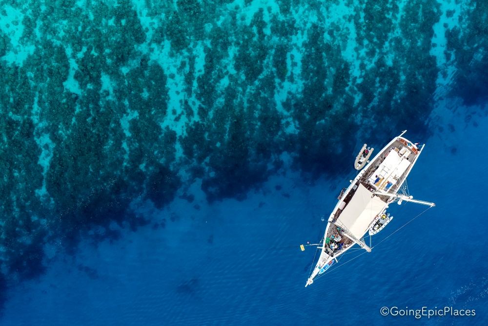 Emperor Raja Laut Liveaboard photo 3