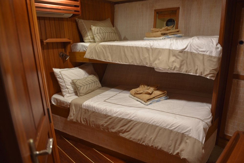 Lower Deck Twin